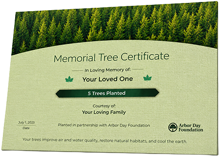 Plant Trees in Memory of Rev. Marvin Neal